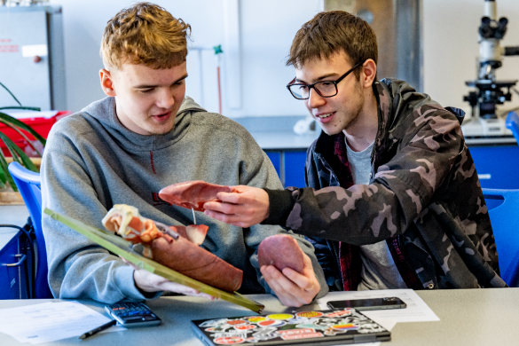 Applied Science Extended Diploma (Triple Award)